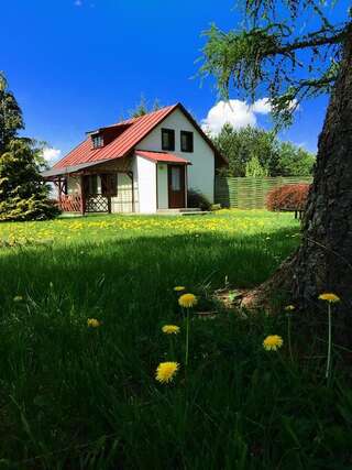 Фото Фермерские дома Agroturystyka Falinka г. Wiżajny